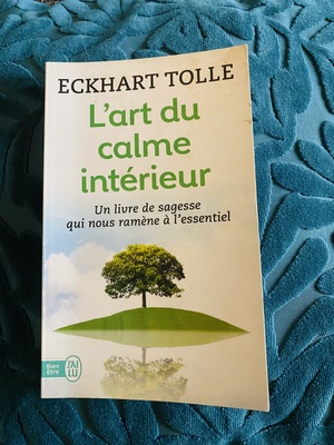 Partage de lecture : L'art du calme intérieur